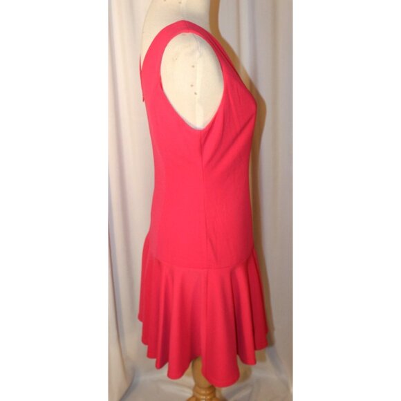 NEW Rhyme Los Angeles Size Small Fuchsia Pink Drop Waist Fit & Flare Dress - Picture 3 of 4